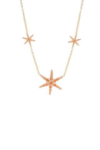 Collar 3 Estrellas Marrón