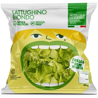 Lattughino biondo