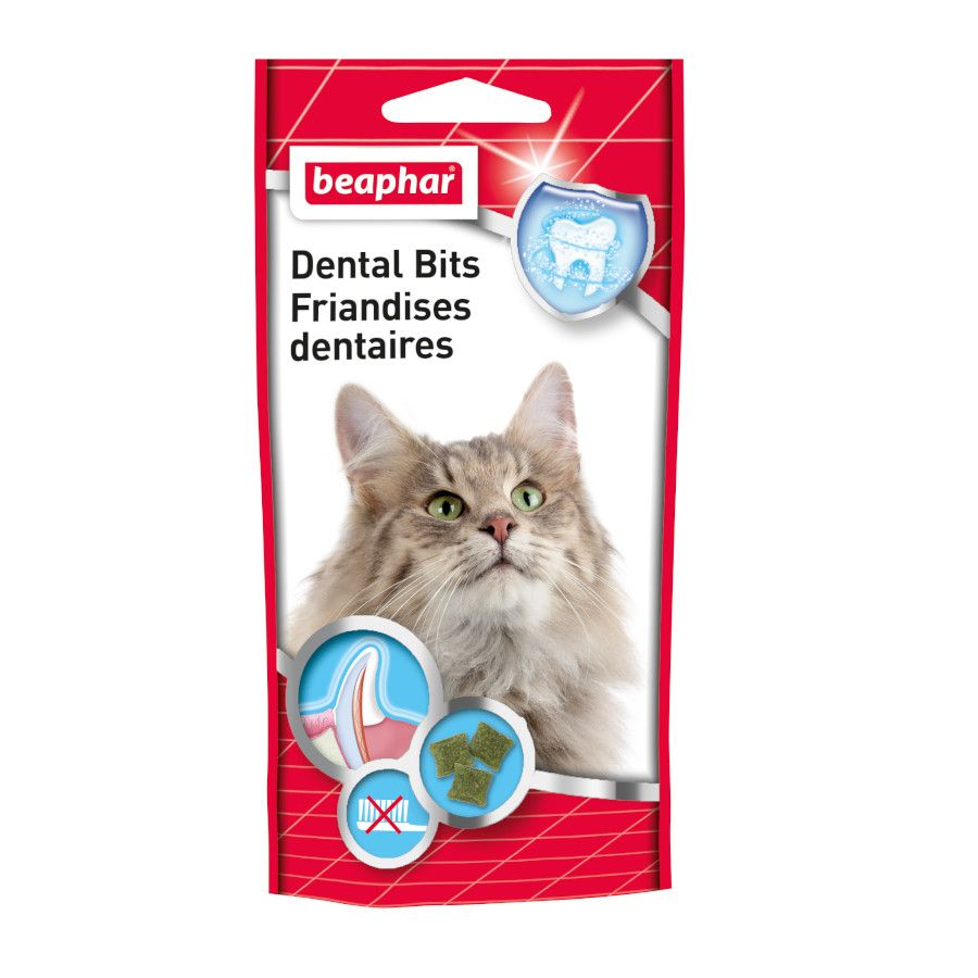 Snacks e Recompensas Gato