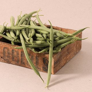 Mongeta Rodona Extra (Aprox. 500 Gr.)