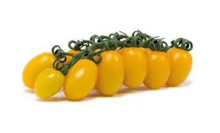 Pomodoro Datterino Giallo G200 N/F