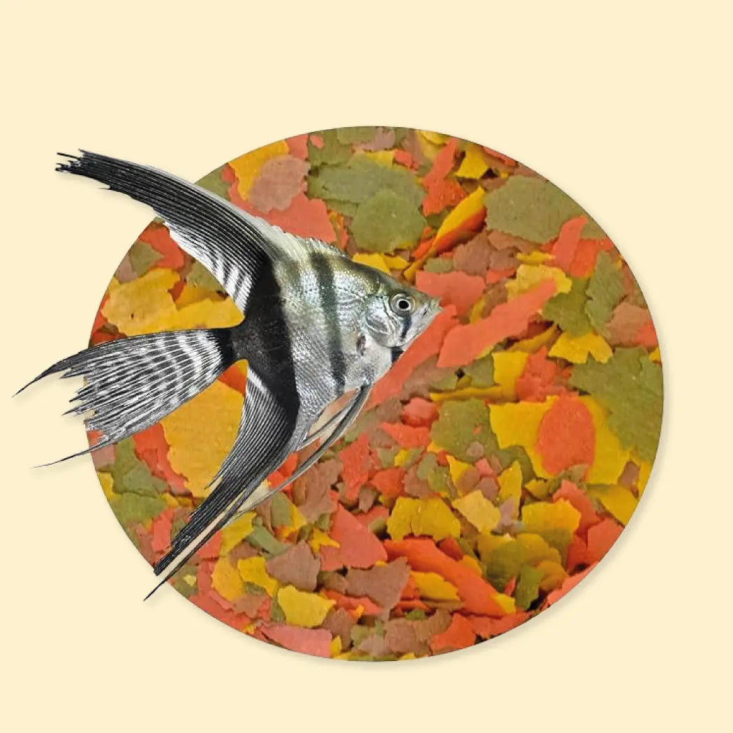 Alimentación Peces
