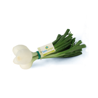 Cebolla Tierna Fuencampo Manojo