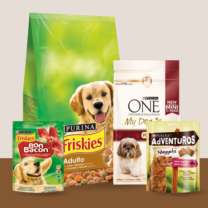 Alimentos y Artículos para Perros
