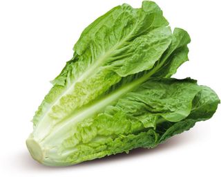 Lattuga Romana Confezionata - 916056