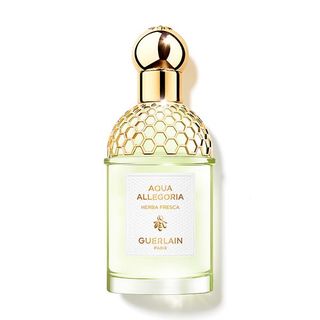 Guerlain Aqua Allegoria Herba Fresca Recargable 75Ml 1659147