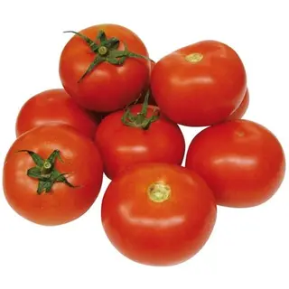 Tomate Ud Aprox 248G