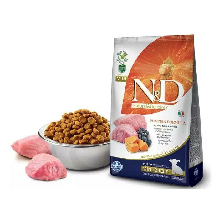 Sucha karma dla Kota