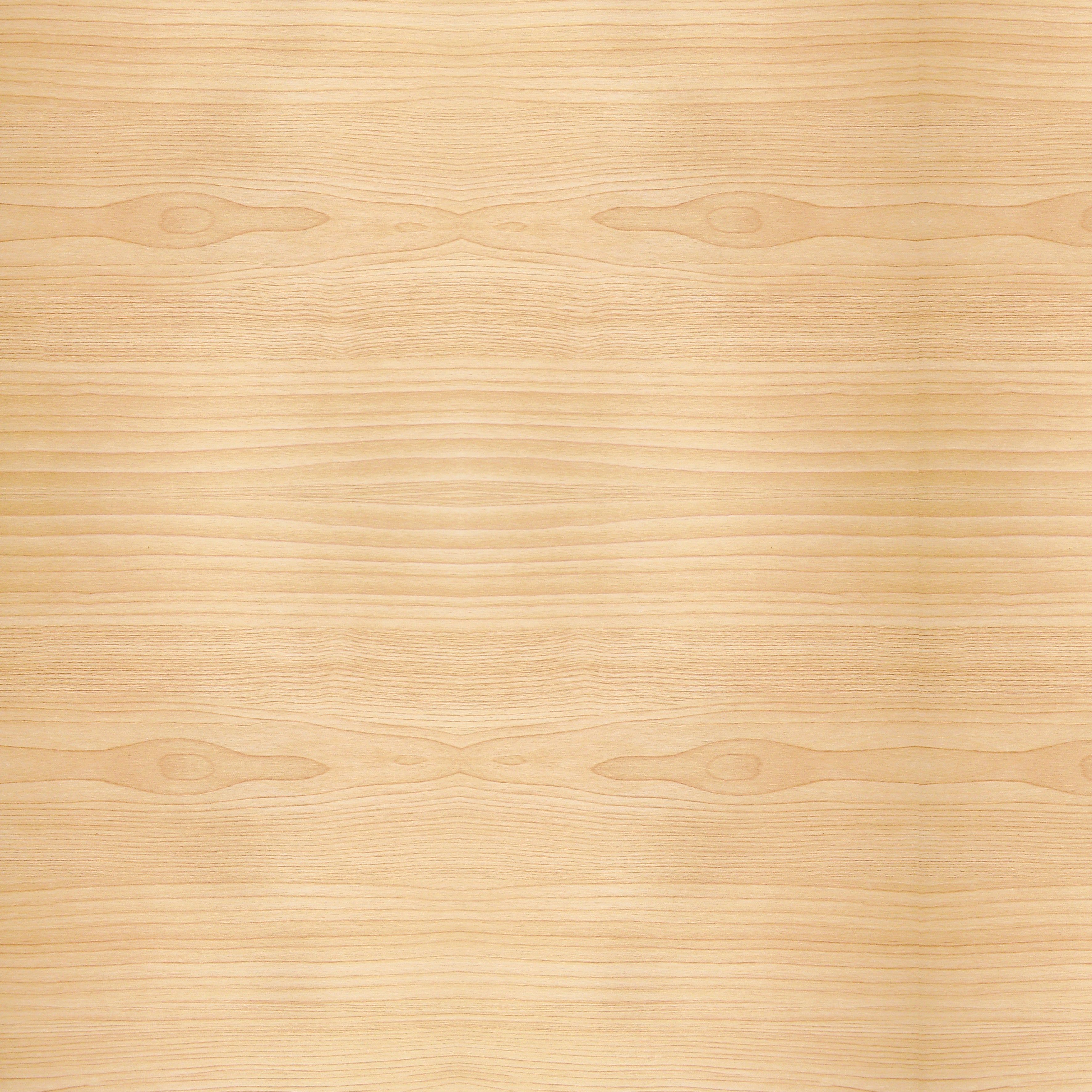 Papel Parede