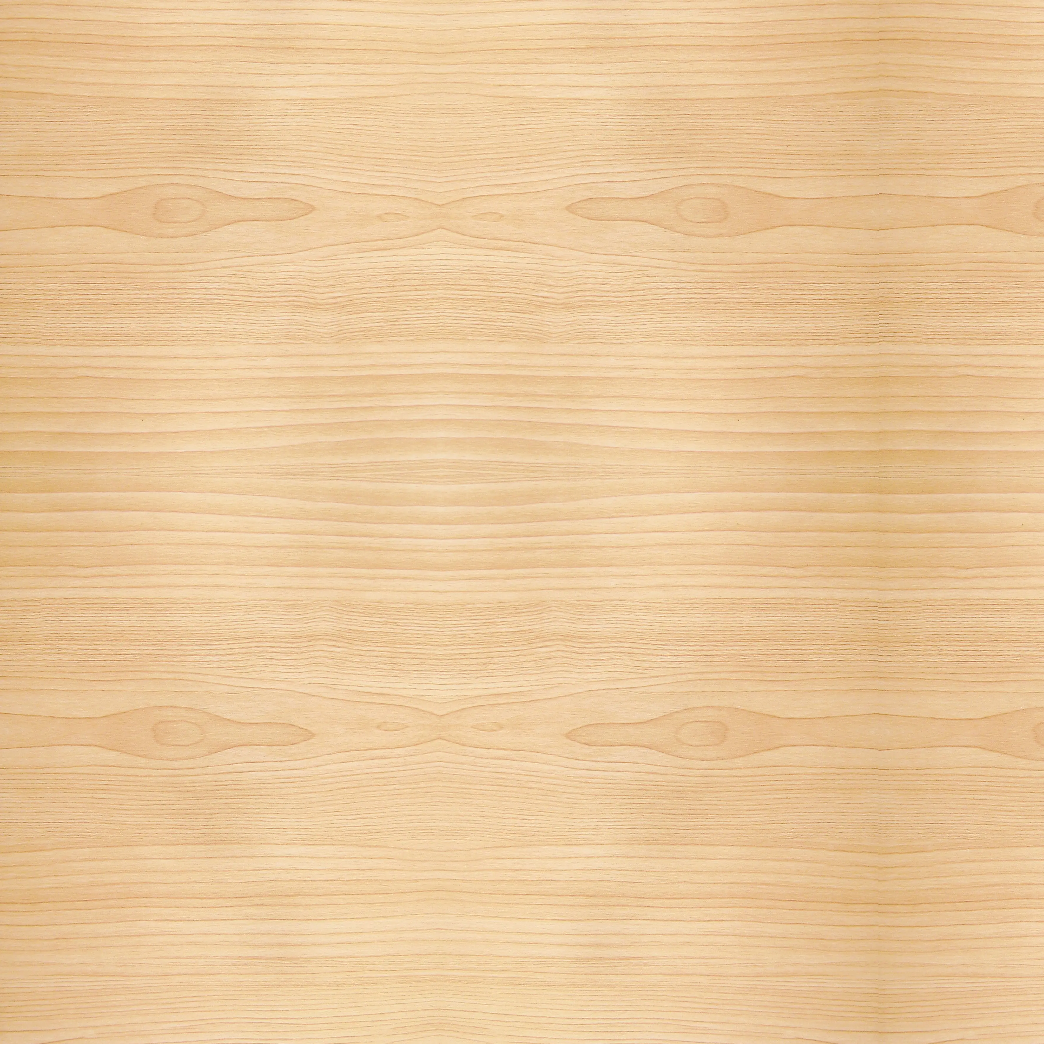 Papel Parede