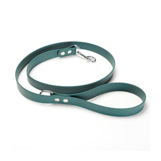 Gotoo Correa Biothane verde para perros