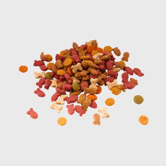 Karma sucha dla kotów