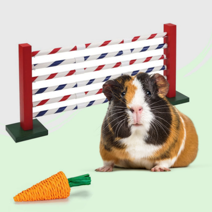 Accesorios y Complementos Roedores