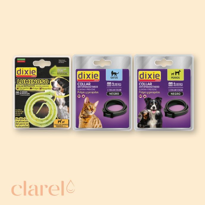 Accesorios Y Juguetes