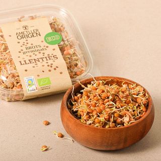 Germinat De Llenties Bio 70G