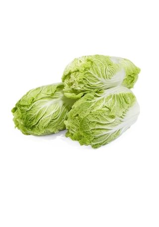 Kapusta pekińska ważona, waga od 1,7 kg