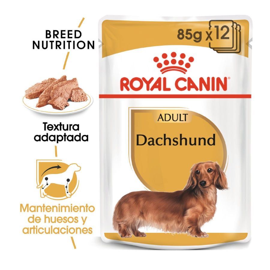Alimentação Húmida Cão