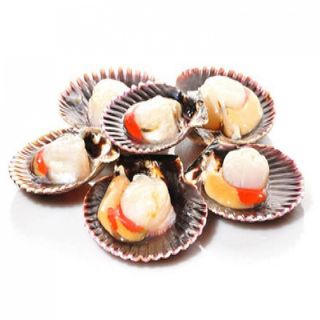 Vieira Del Pacifico Bandeja