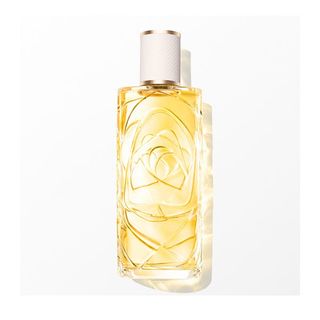 LANCOME Ô Zenith 1699900 100ML