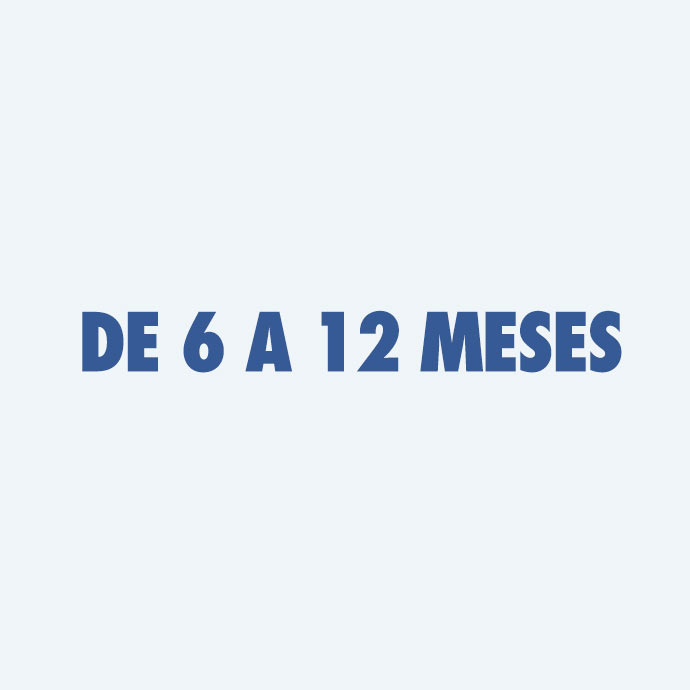 6 a 12 meses