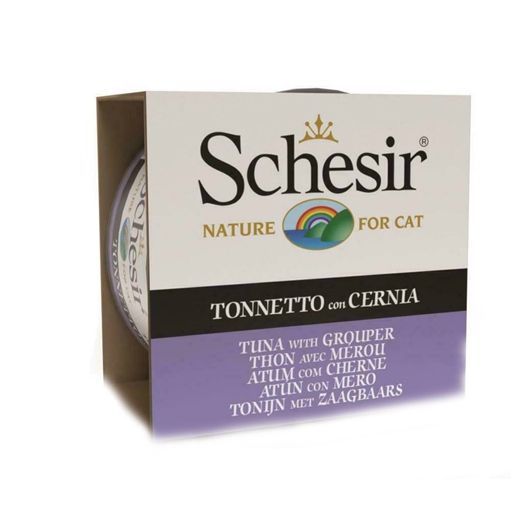 Schesir
