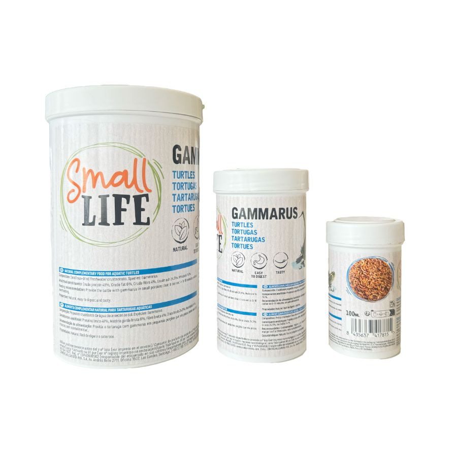 Alimentação Répteis