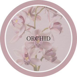 Pulverizador 500Ml Orquídea (87431746)