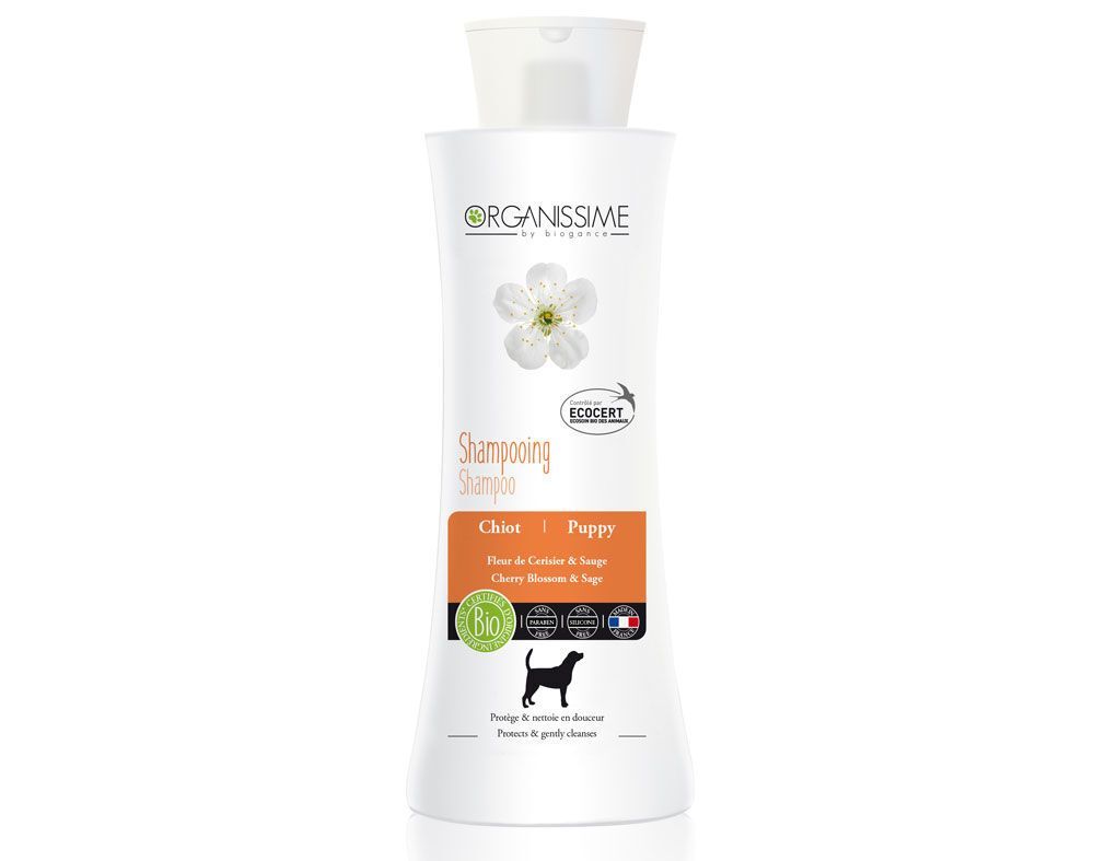 Higiene e Estética Cão