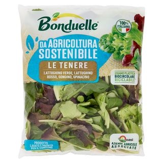 Bonduelle le Tenere 125 g
