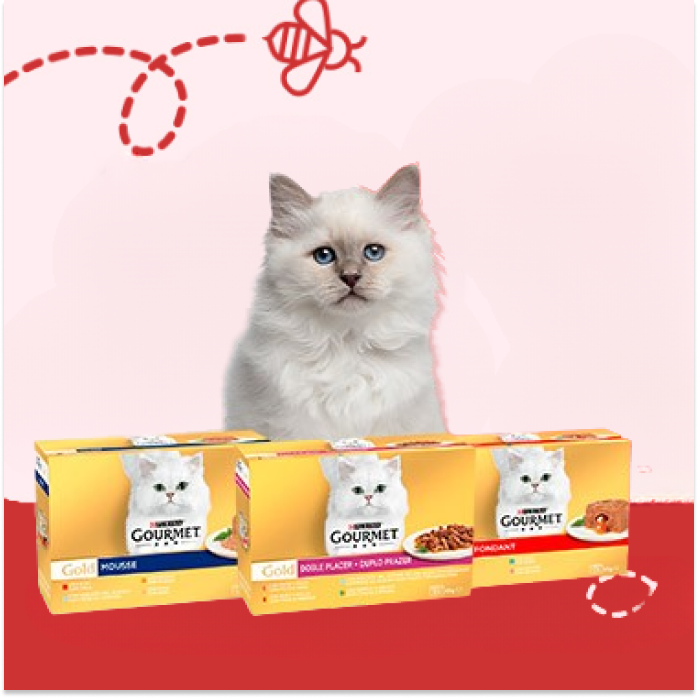 Alimentación Gatos