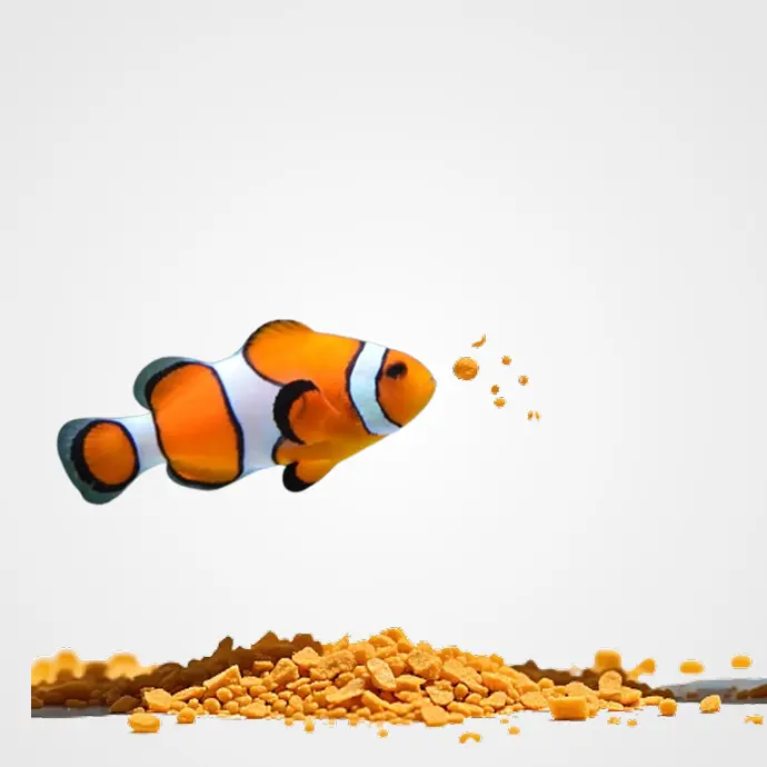 Alimentación Peces