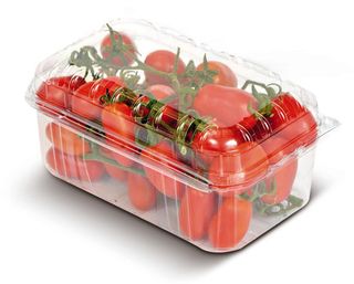 Pomodoro Datterino Gr.500 - 917198