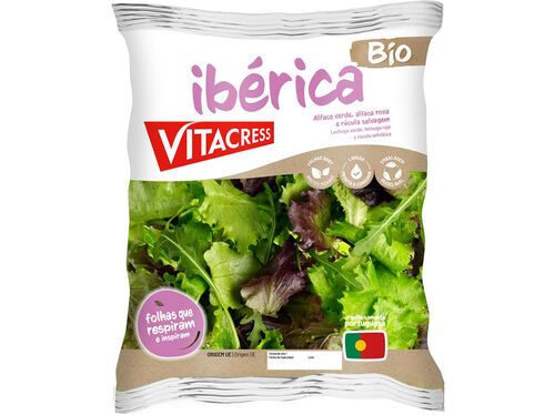 Sopas e Saladas