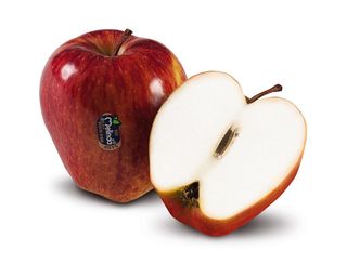 M.Stark Melinda Kg.1,5 - 902817