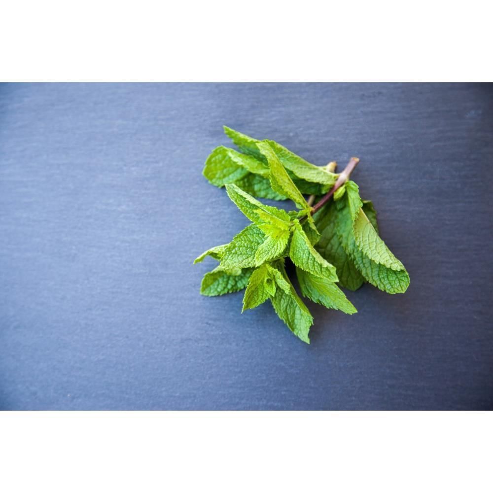 Ervas Aromáticas