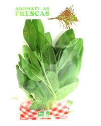 Ervas Aromáticas