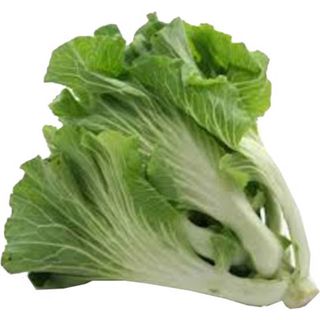 Couve Portuguesa / Penca Continente