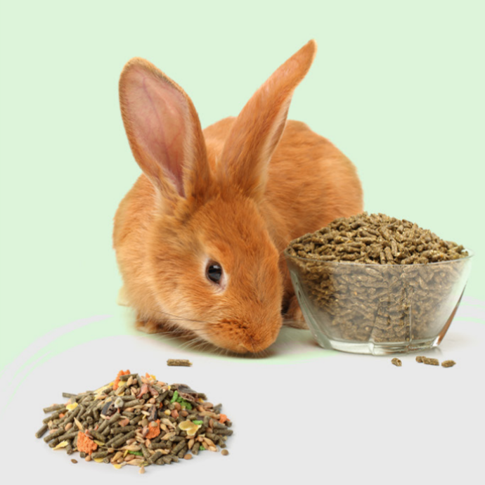 Alimentación Roedores