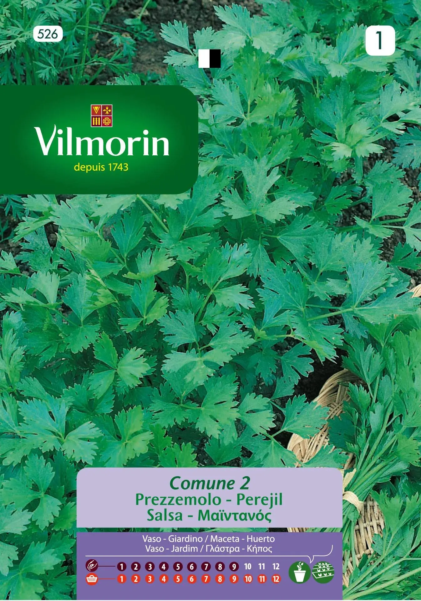 Sementes e Plantas
