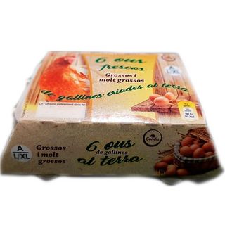 Huevos Condis De Gallinas Criadas En Suelo L/Xl 6 Uds.