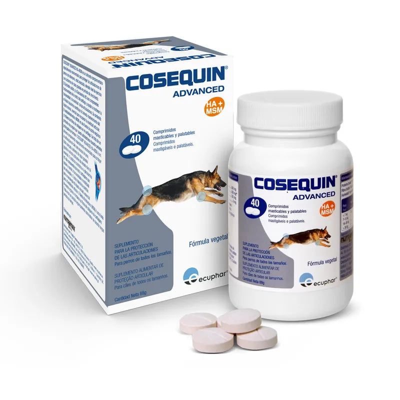 Suplementos Cão