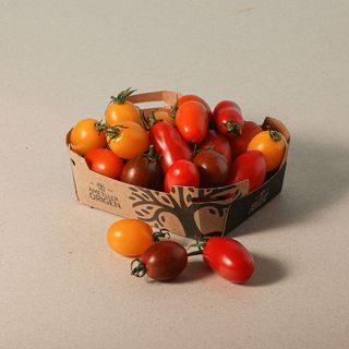 Tomàquet Cherry Tricolor - Safata 250G