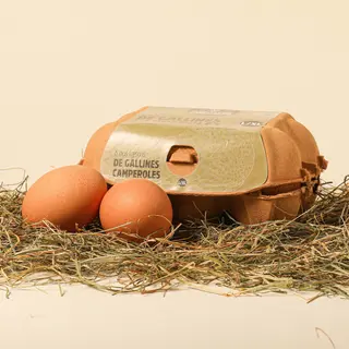 Ous Gallina Llib Estoig L/Xl Ao 6Un