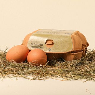 Ous Gallina Llib Estoig L/Xl Ao 6Un