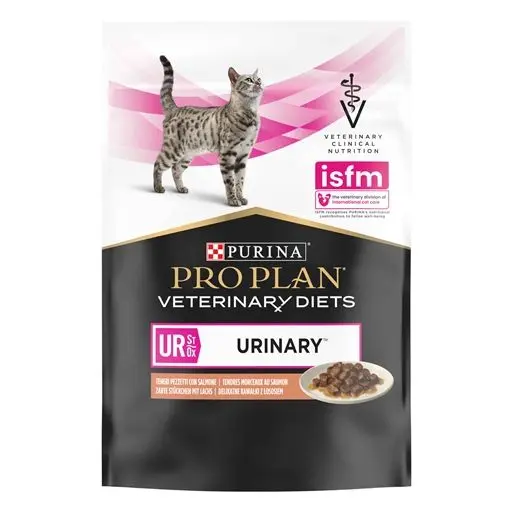 Alimentação Húmida Gato