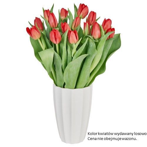 To ona dziś rozkwita