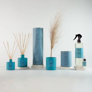 Pulverizador 500Ml Oxygen (87431839)