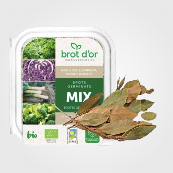 Plantas y Fitoterapia