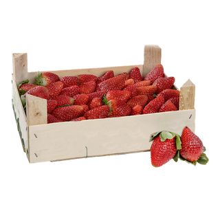 Fresón Caja De 1 Kilo