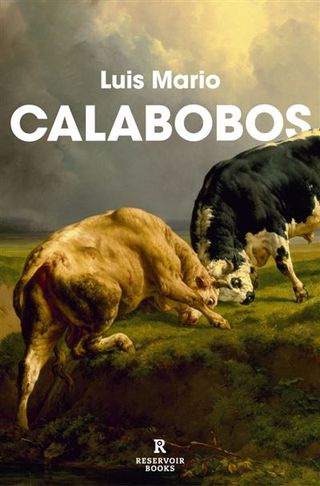Calabobos (9788410352094)